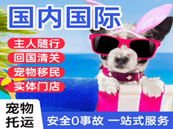 三亚凤凰航空空运国际宠物托运 【国